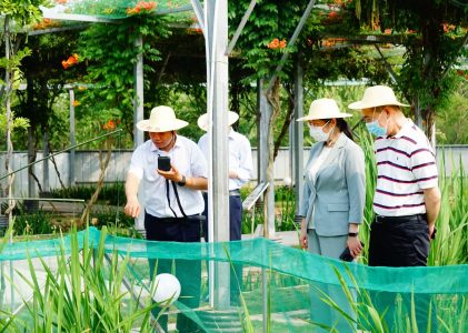 《常州市劳动教育促进条例》立法调研