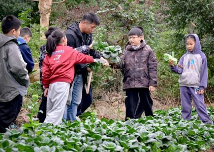 华夏游学龙凤谷教育营地周末营回顾（2023.11.11-11.12）N0.1