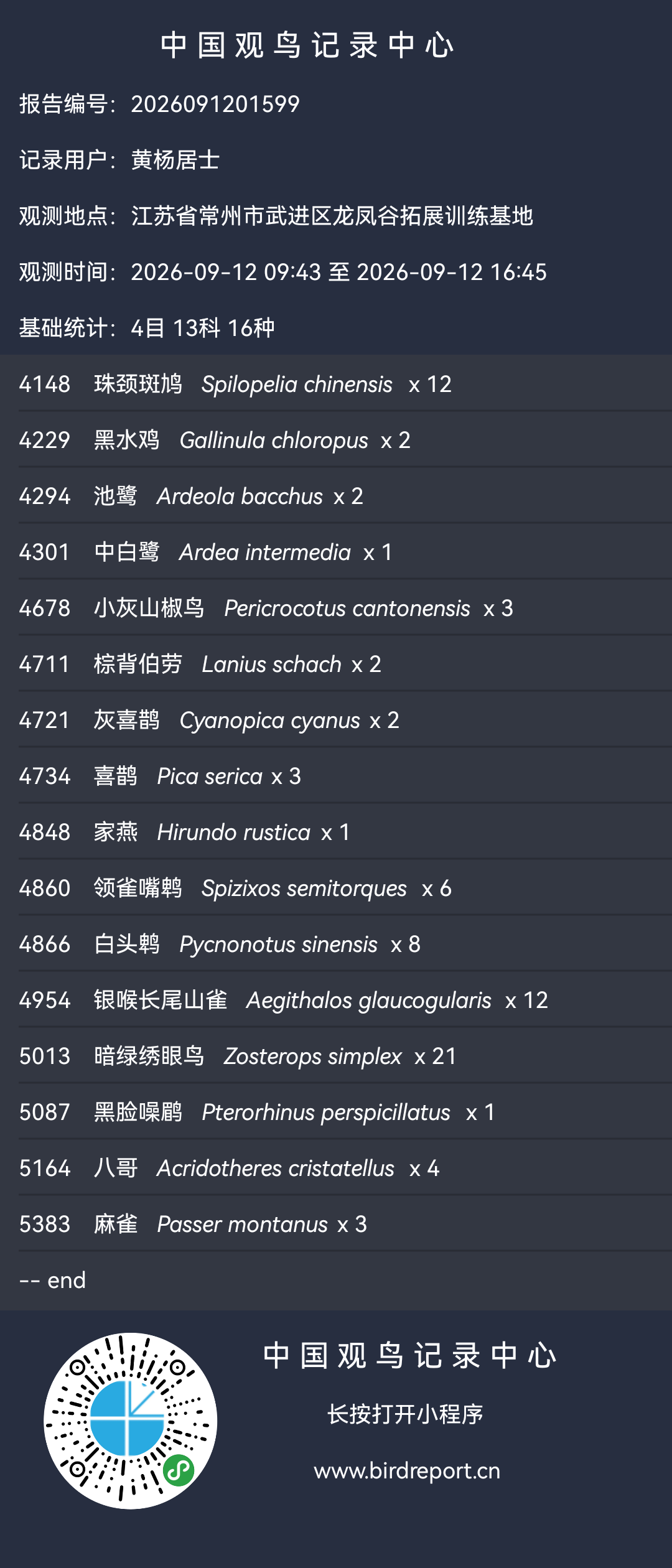 观鸟记录